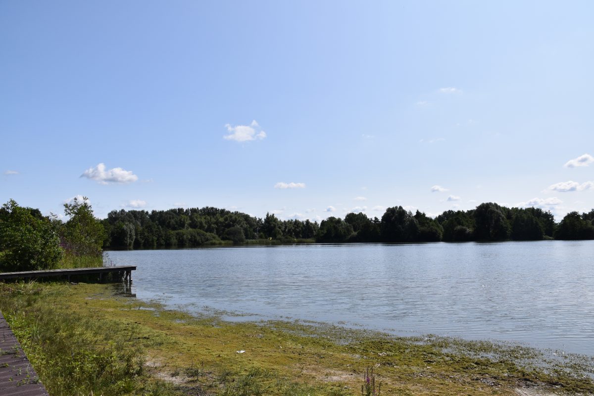 Kleine rietplas, Meren